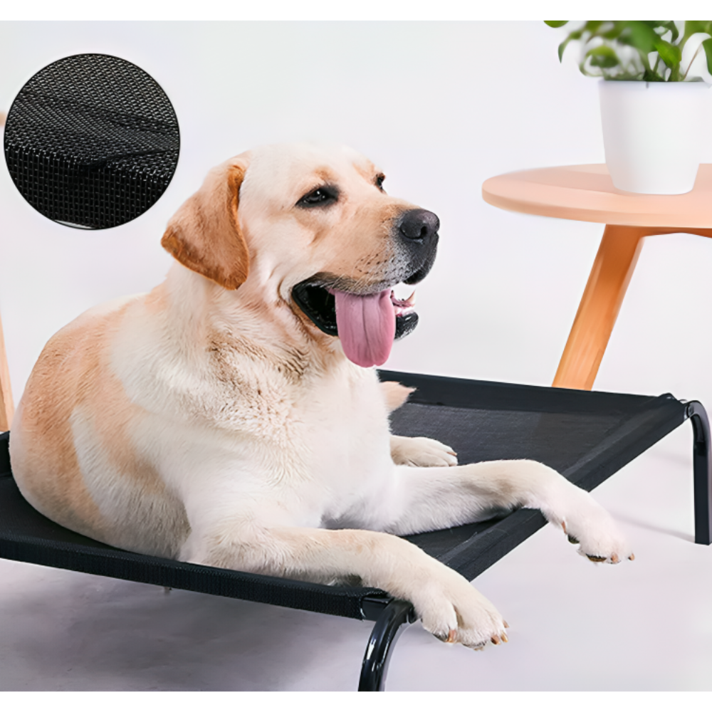 Elevated Trampoline Pet Bed