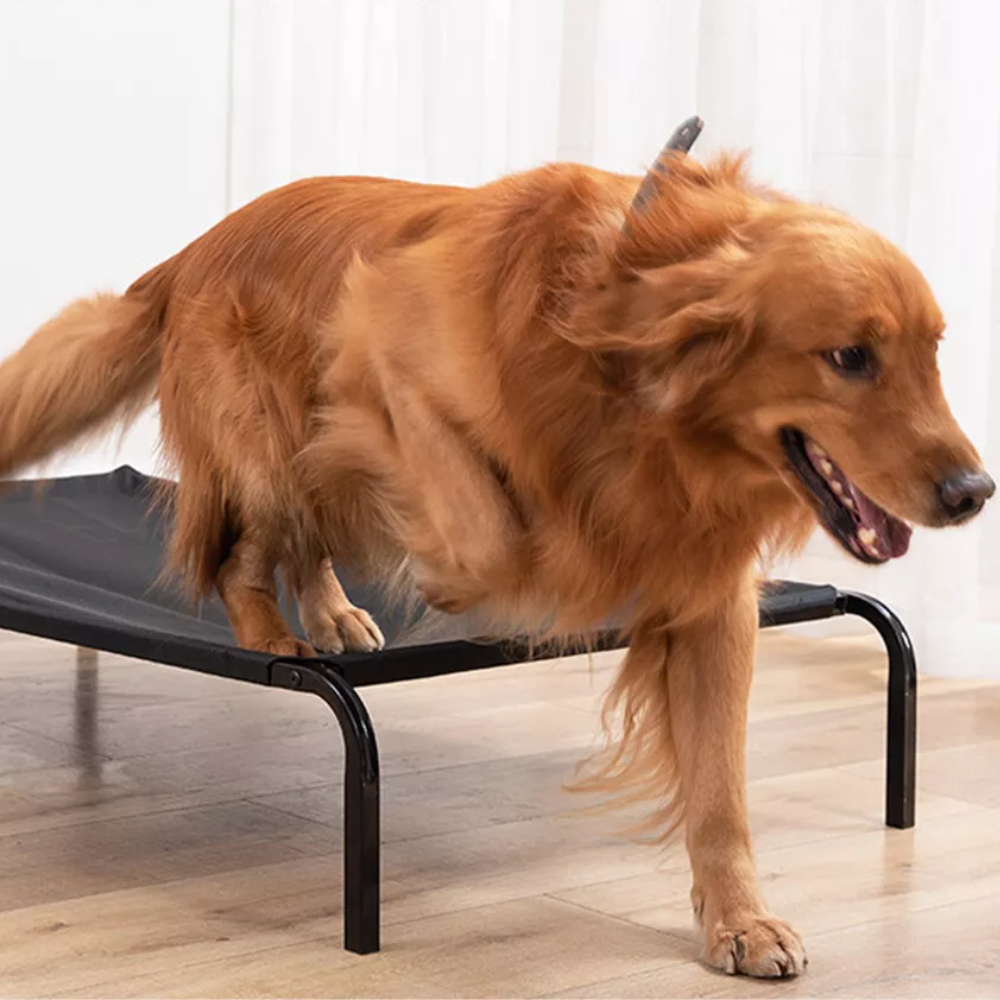 Elevated Trampoline Pet Bed
