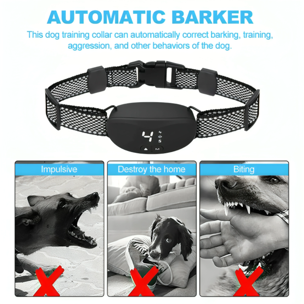 Black Compact Dog Training anti Bark Collar