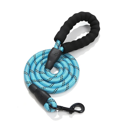 Nylon Heavy Duty Dog Leash