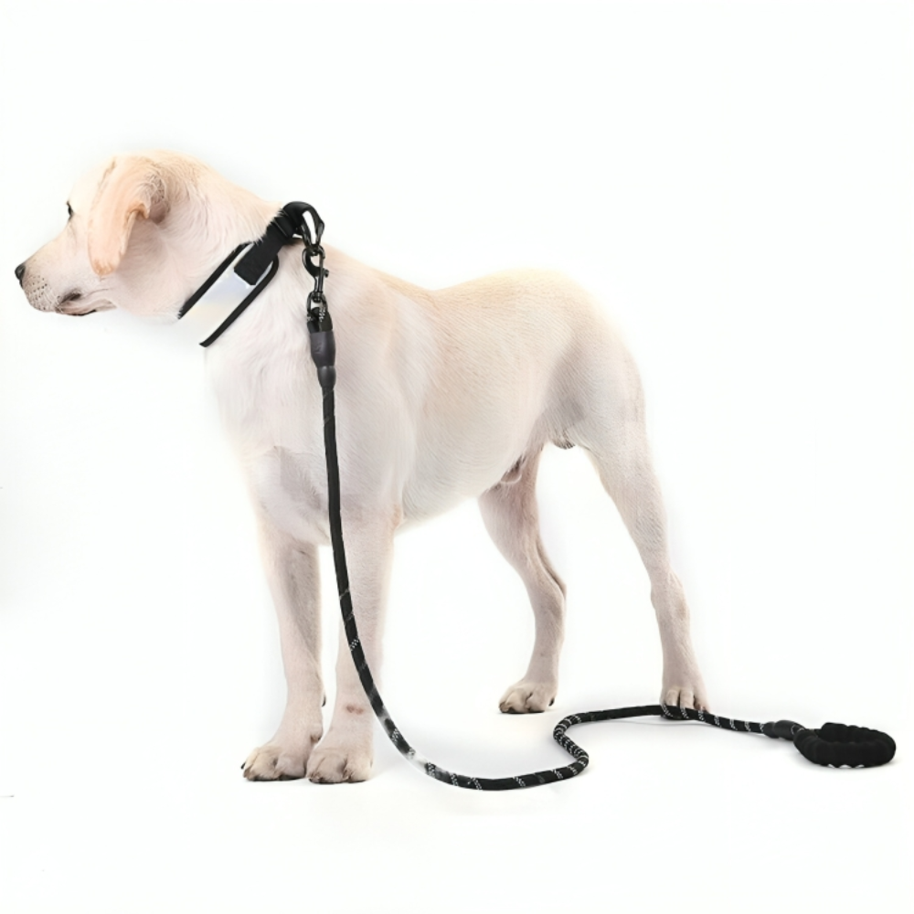 Nylon Heavy Duty Dog Leash