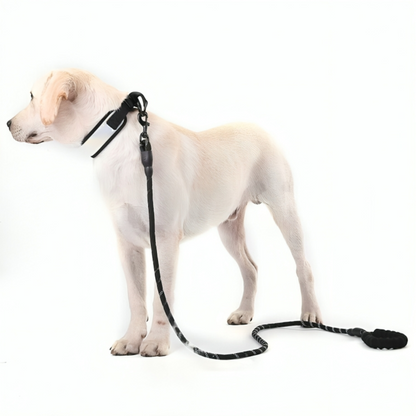 Nylon Heavy Duty Dog Leash