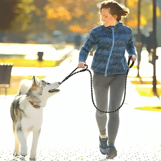 Nylon Heavy Duty Dog Leash